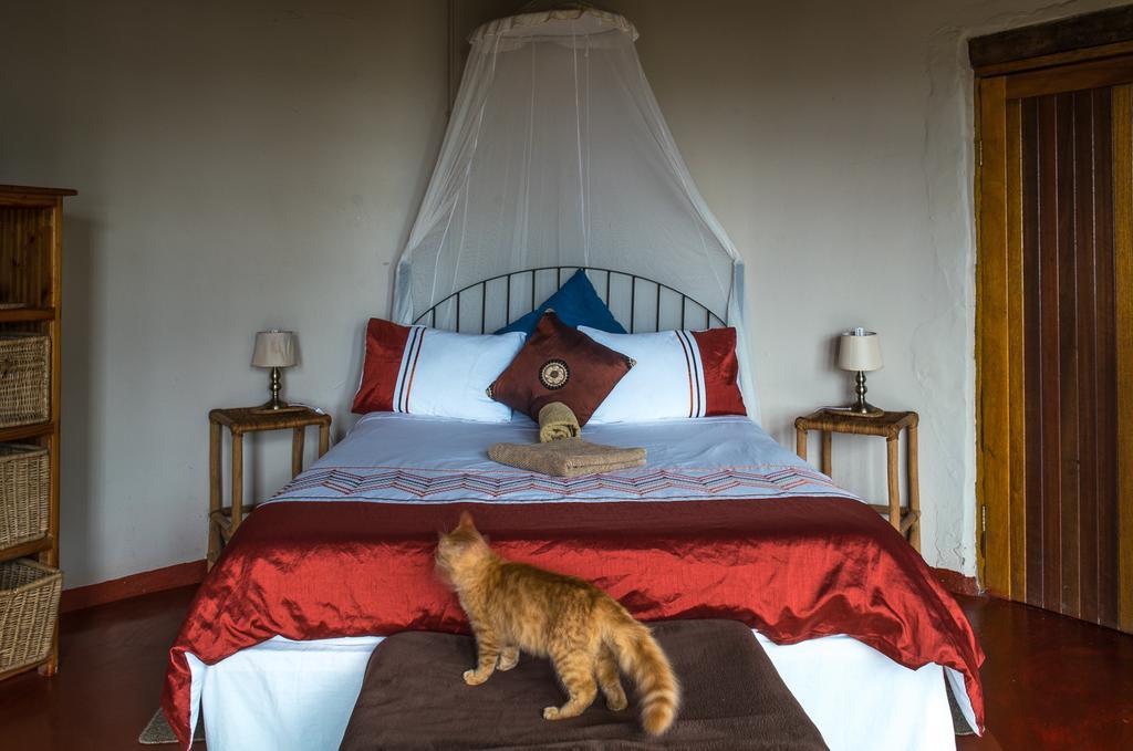 Delicious Monster Accommodation Port Saint John's Екстер'єр фото